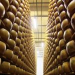 Italienischer Käse: Parmesan gegen Grana Padano