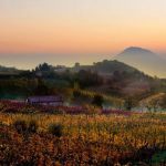 Euganeische Hügel: Weine, Quellen und antike Pfade im wunderschönen Italien