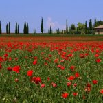Frühling: Italiens „geheimnisvolle Jahreszeit“ in fünf Luxusvillen