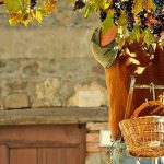 Italiens Aromen: erlesene italienische Weine für höchste Ansprüche
